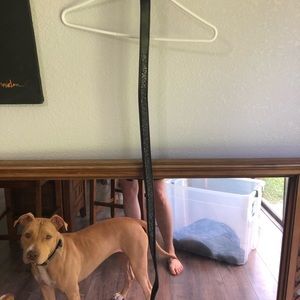 Romph Horse Show Belt